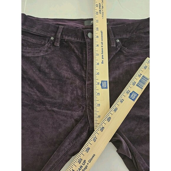 HUDSON Nico Midrise Skinny Purple Ombre Velvet Cropped Ankle Pants Sz 30 Stretch - Picture 4 of 9